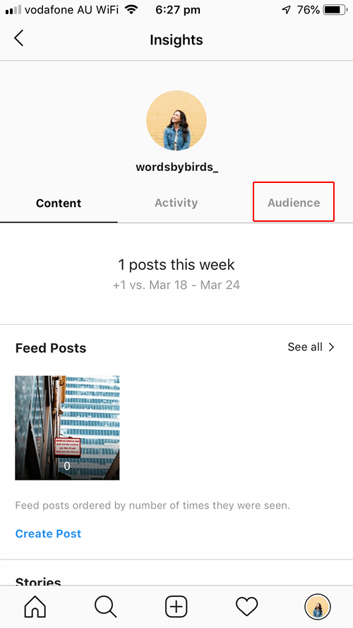 Instagram Insights Audience tab