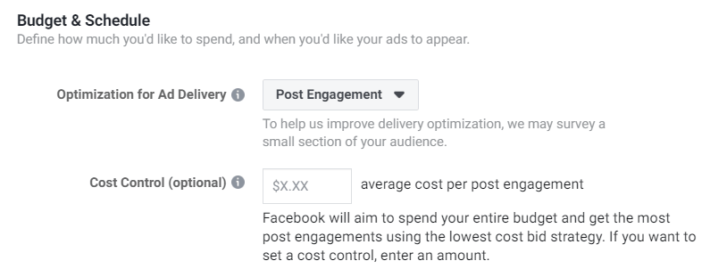 Cost control options in the Facebook Ads Manager.